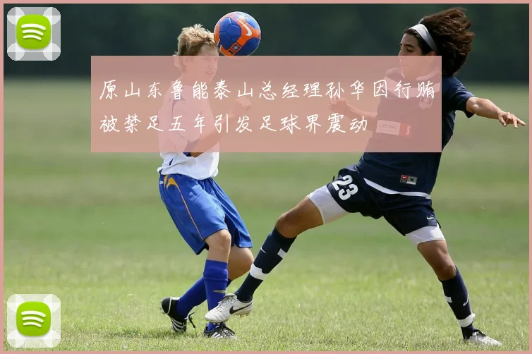 原山东鲁能泰山总经理孙华因行贿被禁足五年引发足球界震动